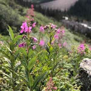 LAST CHANCE TO SHOP MY CLOSET